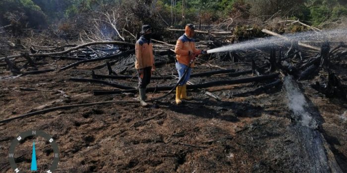 KPBD INHU Melakukan Pemadaman dan Pendinginan Karhutla di Kabupaten Inhu