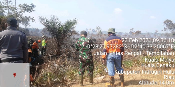 Lahan di Desa Kuala Mulya juga Terbakar