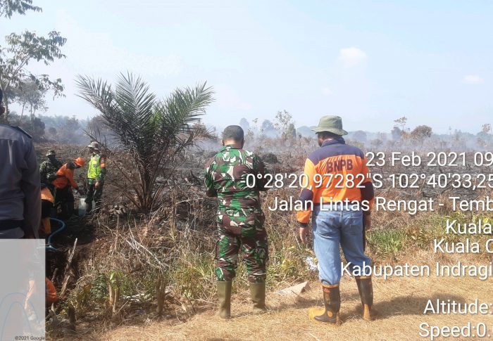 Lahan di Desa Kuala Mulya juga Terbakar