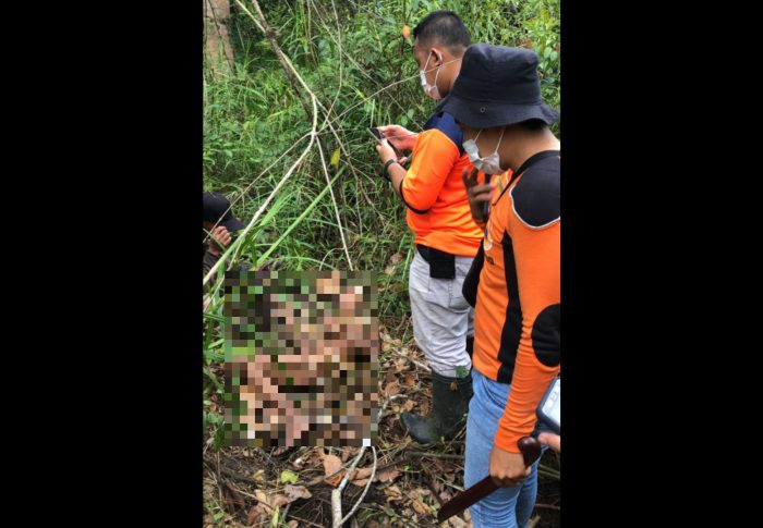 Orang Hilang di Kecamatan Rengat Barat