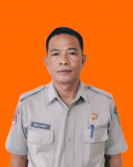 MULYADI, S.Sos