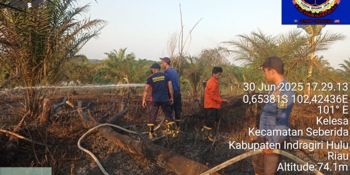 Pemadaman Kebakaran Lahan di Kecamatan Seberida