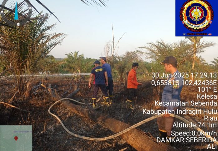 Pemadaman Kebakaran Lahan di Kecamatan Seberida