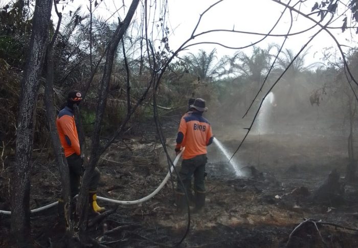 Pemadaman Kebakaran Hutan dan Lahan di Desa Barangan