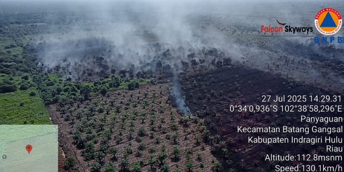 Kebakaran Hutan dan Lahan di Kecamatan Batang Gansal