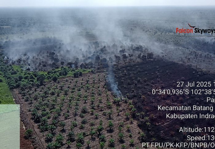 Kebakaran Hutan dan Lahan di Kecamatan Batang Gansal