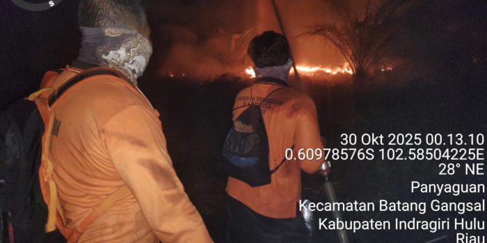 Kebakaran Lahan di Desa Penyaguan