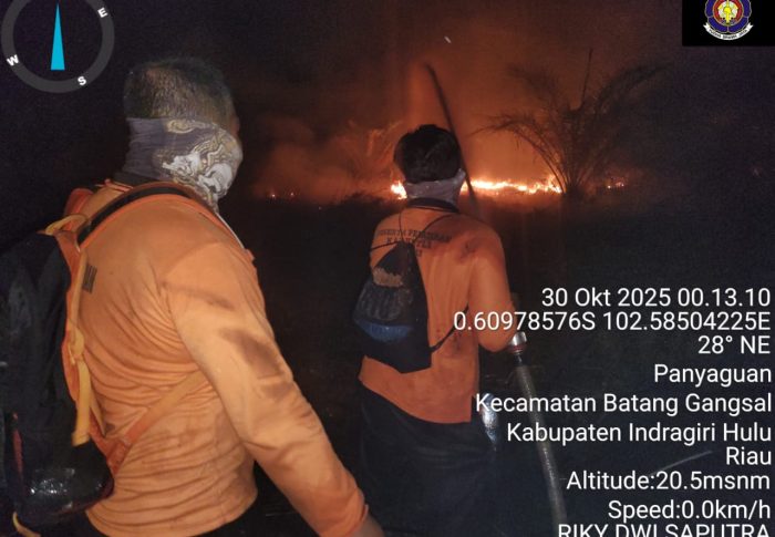 Kebakaran Lahan di Desa Penyaguan